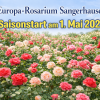 Europa-Rosarium Sangerhausen startet in die neue Saison!