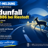 Wildunfall auf der B86 bei Riestedt